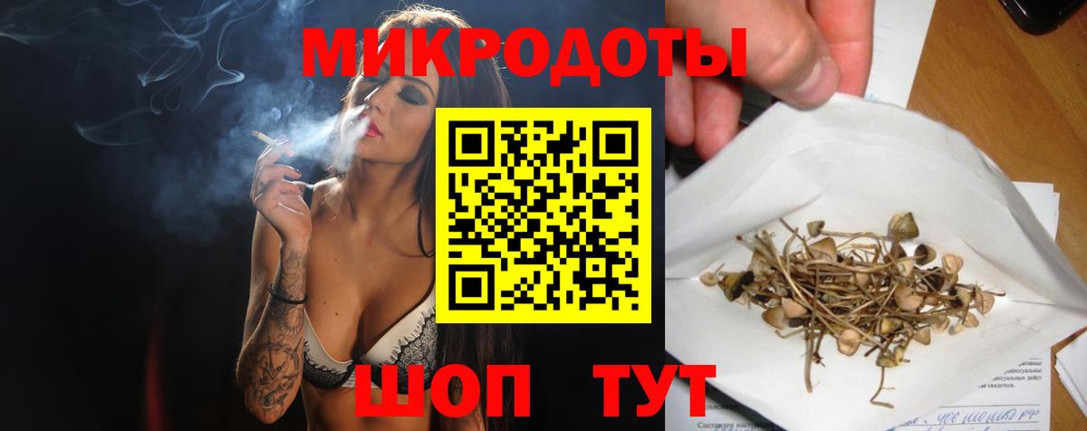 Котовск  Псилоцибиновые грибы ЛСД  Галлюциногенные грибы Magic Shrooms  Вход с VPN 